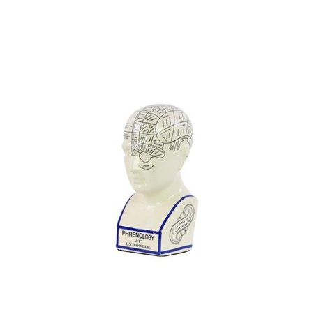 URBAN TRENDS COLLECTION Urban Trends Collection 32402 Ceramic Phrenology Bust With Printed Labels; Small - White 32402